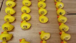 Locals go quackers for rubber duck race