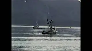 Prince William Sound