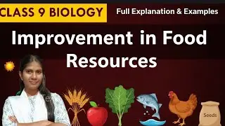 Kharif and Rabi Crops (class 9) Biology 