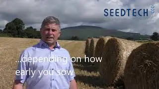 Sowing Winter Oilseed Rape early with Aurelia