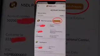 NSDL Payment Bank Debit Freeze