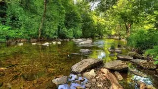 Kiran M Sajeev &mdash; Fables (Extended Mix)