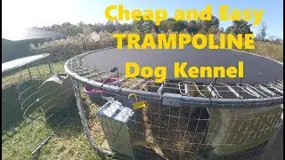 Cheap and Easy Trampoline Dog Kennel
