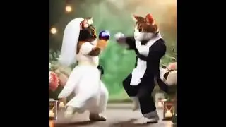 Le mariage, c&rsquo;est quand on peut se battre&hellip; et rester ensemble quand m&ecirc;me.