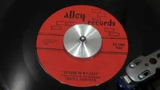 PURPLE CANTEEN - Brains In My Feet - 1967 - ALLEY RECORDS