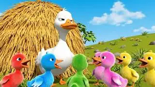 Animal Song - Five Little Ducks