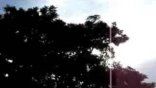 (#S-4) ALIEN AEROSTOCKIAN (?)  BEAM #3
