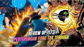 REVIEW ONE PIECE 1173 !! ZORO & BROOK TAMPIL LUAR BIASA | PERTARUNGAN YANG TAK TERDUGA (ONE PIECE)
