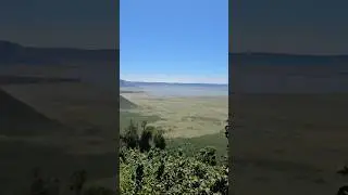 🌄 Discover the Stunning Views of Ngorongoro Crater! 🌿
