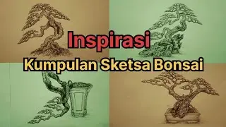 INSPIRASI KUMPULAN SKETSA BONSAI