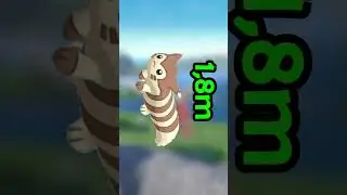 Diese Pok&eacute;mon Gr&ouml;&szlig;en sind L&Auml;CHERLICH!!! - Pok&eacute;mon Fakt Nr.64