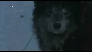 Japanese dog tv series and movies
