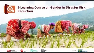 Session 2.2: Gender analysis