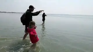 Balade dans la baie de Somme pour voir les phoques
