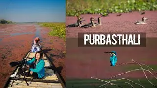 Birding In Purbasthali, Chupi Char | Birding in India #2 I West Bengal | India
