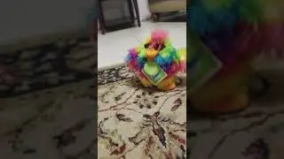 Rainbow Easter Chicken does the Chicken Dance super fast!