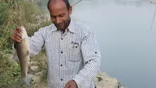 সাওলা দীয়ে কালি বায়ুশ মাছ শিকার              hook fishing monster fishing