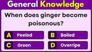 General Knowledge Quiz | 40 Most Important GK Questions & Answers | Test Your Brain! | Trivia Quiz