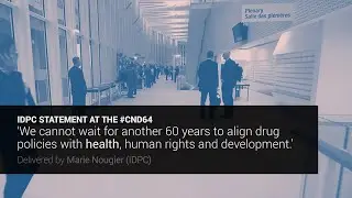 IDPC statement at the 64th Session of the UN Commission on Narcotic Drugs (CND)