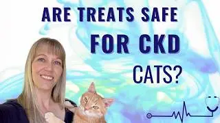 What Treats Are Safe for CKD Cats? Vet Approved Options