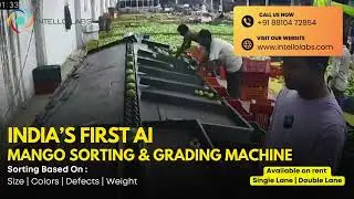 🌟 Introducing India&rsquo;s First AI-Powered Mango Sorting & Grading Machine &ndash; Opex Model! 🌟