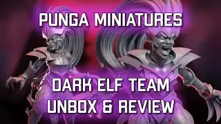 Dark Elf Team Kickstarter Unbox & Review  | Punga Miniatures (Bonehead Podcast)