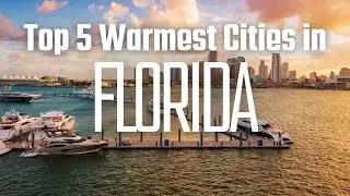 Top 5 Warmest Cities in Florida