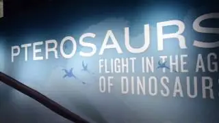 Pterosaurs: Flight in The Age of Dinosaurs @ FCMoD