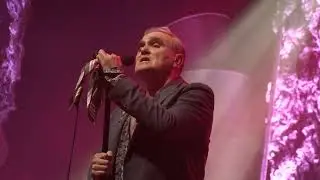 Morrissey 