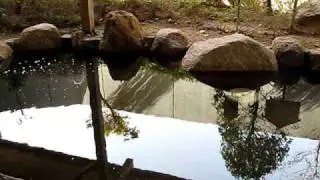 Public bath 2
