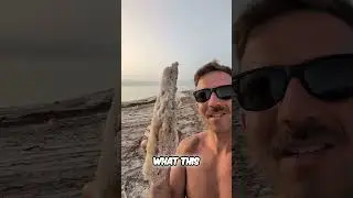 Dead Sea Salt: 🧂 Worth a Taste? 🤔