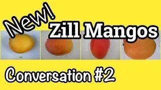 Another Conversation about Gary Zill's New Mango Varieties