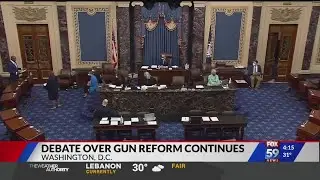 Debate over gun reform continues in Congress