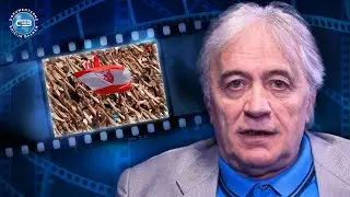 BALKAN INFO: Neboj&scaron;a Vuković &ndash; Delije su državna priča, navijači su ne&scaron;to drugo!