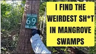 Finding Weird Sh*t Deep in the Mangrove Swamps