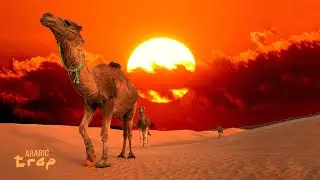 Strybo - Sahara