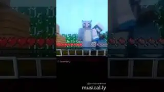I'm On Minecraft On My Ps3