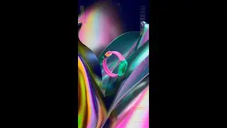 Swatch NEON Collection