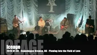 Iceage - Plowing into the Field of Love - 2020-01-08 - Copenhagen Bremen, DK