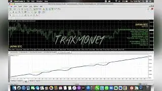 EA BTC - EA JAPAN BTC - LOW DD - GRATIS - TRAXMONEY