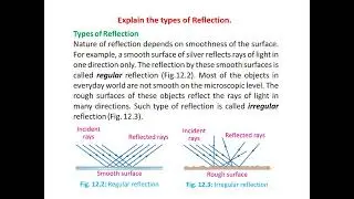 10 Physics : Reflection of Light