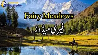 Fairy Meadows: Pakistan&rsquo;s Most Magical Place | Nanga Parbat Base Camp Adventure 🇵🇰