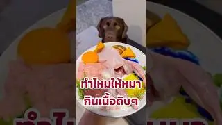 Can dogs eat raw meat?