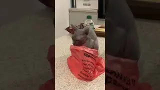 Stop making plastic!
