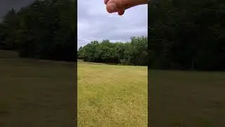 Let it Fly 🕊️