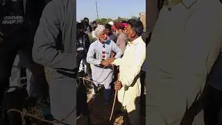 #iltilanatv #live_sauda #goat #bakramandi #shikaritv #bakra #goatfarming #live #farmingbaba #farming