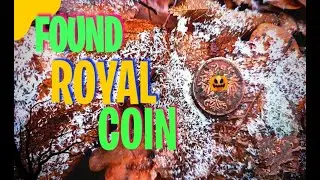 Search for old coins with a metal detector