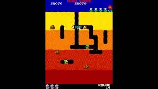 [WR] Dig Dug level 14 in 18.367s