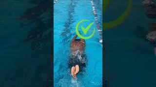 Perfect Butterfly Swimming Technique &ndash; Master the Dolphin Kick for More Speed