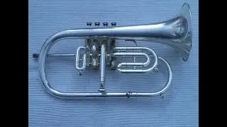 Handhaltung des vierventiligen Fl&uuml;gelhorns / How to hold the 4-valved flugelhorn